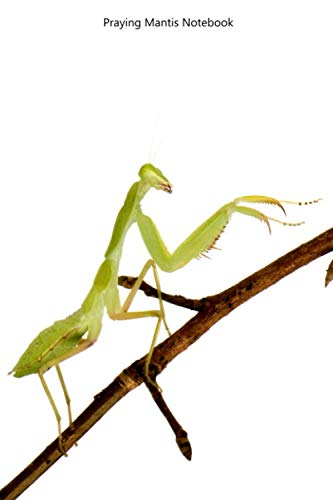 Praying Mantis Notebook: Cool Praying Mantis notebook - Travel Journal to write in - 120 pages - 6"x9"