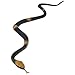 Toysmith Super Stretchy Snakes Playset