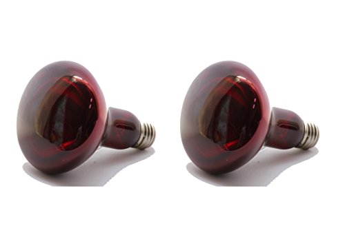 Blue Spotted NightView Wild-Red Heat Lamp Ideal As A 24 Hour Heat Source for Your Pet Reptiles and Amphibians! (100 Watt 2 Pack)