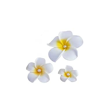 3 Pieces Frangipani Hairpin Side Hair Clip Beach Wedding Flower Hair Accessory (520722226613)