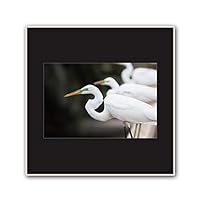 Framed Canvas Wall Art A Bird Standing on Canvas Prints Home Artwork Decoration for Living Room,Bedroom - 16x16 inches