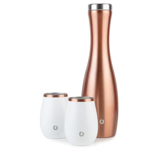 Snowfox Wine Carafe and Glass Set, Insulated Stainless Steel Carafe and Set of 2 Matching Wine Glasses, Gold