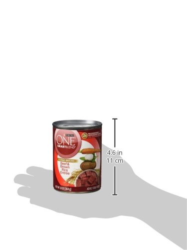 PURINA ONE CLASSIC GROUND BEEF AND BROWN RICE ENTREE ADULT WET DOG FOOD – (PACK OF 12) 13 OZ. CANS