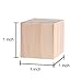 Fuhaieec 100 Pcs 1 Inch Wood Square Blocks for Puzzle Making Blank Wooden Cubes Wood Blocks for DIY Crafts Carving Art Supplies