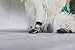 Grippers Non Slip Dog Socks | Traction Control for Indoor Wear | Dog Paw Protection | Non Skid Dog Booties Grip (L)