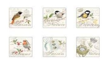 Songbird Cork Backed Coasters Set Of 6