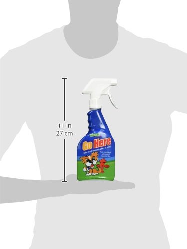 Davis Go Here Potty Training Aid, 22 oz