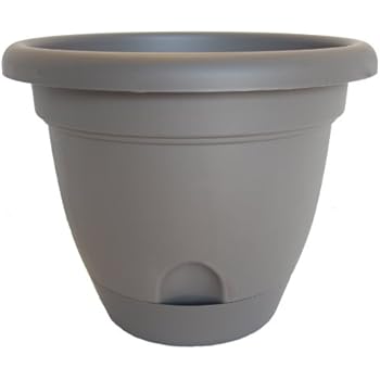 Bloem Living LP0860 Lucca Self-Watering Planter, 8-Inch, Peppercorn