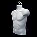 EZ-Mannequins XS158-W Male Torso Body Mannequin Form (Waist Long) WHITE