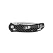 Firebird GANZO F7533 Pocket Folding Knife Carbon Fiber Handle with Clip 440C Stainless Steel Black Blade Hunting Fishing Camping Outdoor EDC Knife (CF Black)