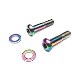 TAKEWELL Flat Mount Disc Bolts Titanium T25 for