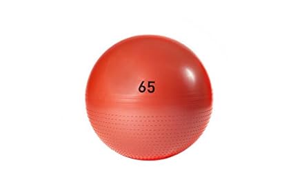 adidas gym ball 65cm