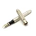 Jin hao [Spiral] Luxury Fountain Pen, Gold trim, Medium nib, Pen case gift, Business signature, Calligraphy Writing (Spiral White)