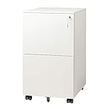 DEVAISE 2-Drawer Mobile File Cabinet with