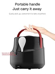 HSJ 12V/24V Universal Car Rice Cooker, Portable