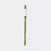Sustee Aquameter (Green, Medium) - Plant Soil Moisture Meter, Sensor, Probe, Indicator - Best for Potted Plants