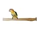 Birds LOVE Bottlebrush Wood Bird Perches for Parakeets, Lovebirds, Conures, Cockatoos, Pionus & Medium Sized Birds - Parrot Perch Stand & Bird Cage Accessories - Natural Wood Medium Perches