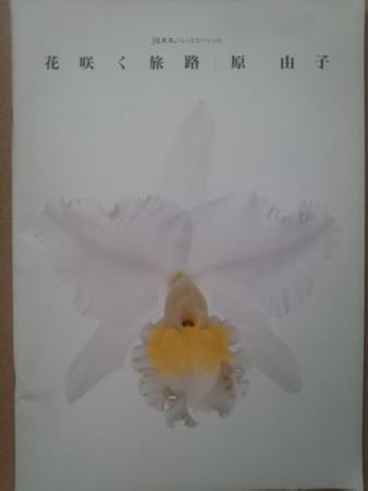 50 原 由子 花 咲く 旅路 最高の花の画像 50 原 由子 花 咲く 旅路 最高の花の画像