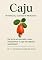 Livro "caju: Potencial, Cultivo E Mercado"
