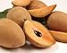 Fresh Mamey (Set of 2)