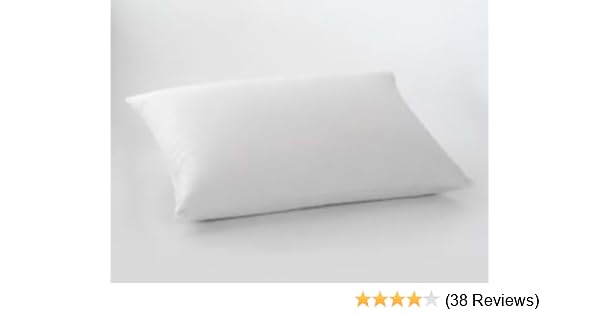 Envirosleep Dream Surrender King 2 Pillows Found At Hampton Inn