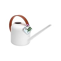 Czlsd Rain Shower Plastic Watering Can - Design Watering Can for Outdoor Indoor House Garden Plants - Garden Watering Can (Color : White)