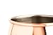 Xummit Stunning Smooth Moscow Mule Copper Mug/Cup with Golden-Hued Handle - 18 Oz (Set of 2)