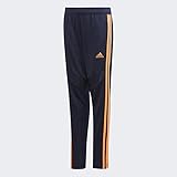 adidas Kids' Youth Tiro19