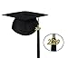 Czorange 2019 Year Signet Gold Color Charm for Graduation Tassel Grad Days 2 Pack