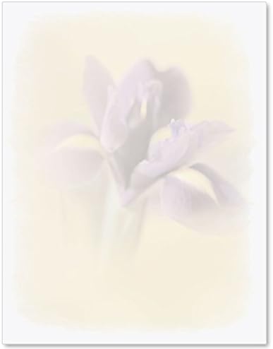 Faded Iris Letter Papers, 25 Count