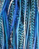 Feathers for Hair Extension 5"-18cm True Blues & Grizzly Genuine Rooster Feathers for Hair Extension-5 Feathers!