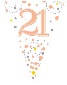 9ft Bunting Banner Pennant Flag Sparkling Fizz 21st Birthday White and Rose Gold Holographic