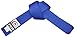 Fuji Sports Belt, Blue, 6
