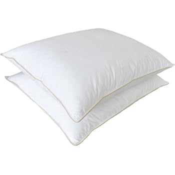 Amazon Com Natural Comfort Jasper Premium Two White Goose Down