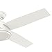 Hunter Dempsey Indoor Ceiling Fan with Remote Control