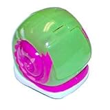 XiaXia Pets Hermit Crab Shell Green Purple Swirl