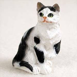 Amazon Com Bonsai Outlet Black And White Shorthaired Tabby Cat