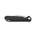 Ganzo Firebird FH41 BK D2 Steel Blade G10 handle Pocket Folding Knife EDC Tool