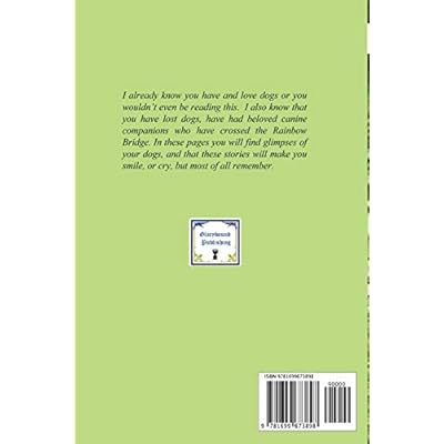 Buy Across The Rainbow Bridge A Tale Of Many Dogs Paperback October 13 19 Online In Indonesia