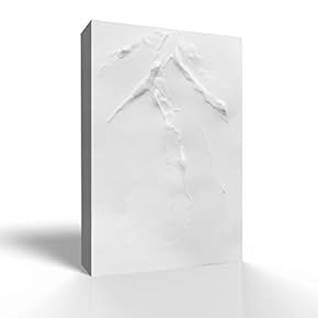 Canvas Wall Art Minimalism Style Pictures Home Wall Decorations for Bedroom Living Room Paintings Canvas Prints Framed - 12x18 inches