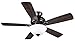 Hyperikon 52 Inch Ceiling Fan with Remote Control, Black Ceiling Fan, Five Reversible Blades and Frosted Dome Light - Bulb Not Included