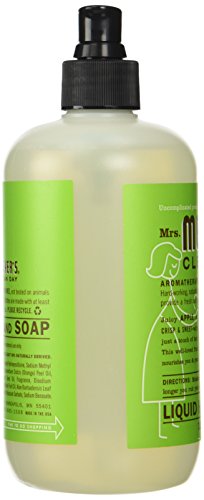 12.50 Oz Liquid Hand Soap in Apple