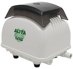 ALITA INDUSTRIES Air Pump, 80 LPM