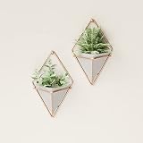 Umbra Trigg Small Set of 2 Concrete Wall Planters - Modern Decor view 2
