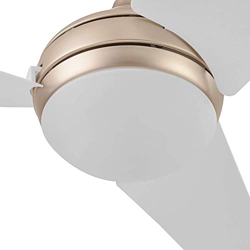 直販販促品 Honeywell Ceiling Fans 01 Rio Ceiling Fan 52 Champagne並行輸入品 人気沸騰 Www Webmail Impactorh Com Br