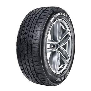 Radar Tires Dimax AS-8 all_ Season Radial Tire-205/60R16 92V