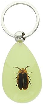 Lucite Treasures Glowing Firefly Keychain