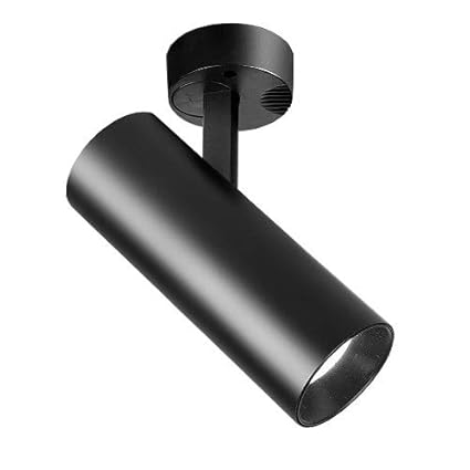 Brillraydo 20w Led Ceiling Directional Spotlight Surfaced Mount