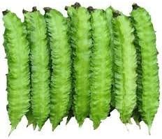 Asia Organic Winged Bean Seeds