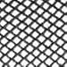 Berkshire womens Fishnet Pantyhose, Black, 4-Mar US
